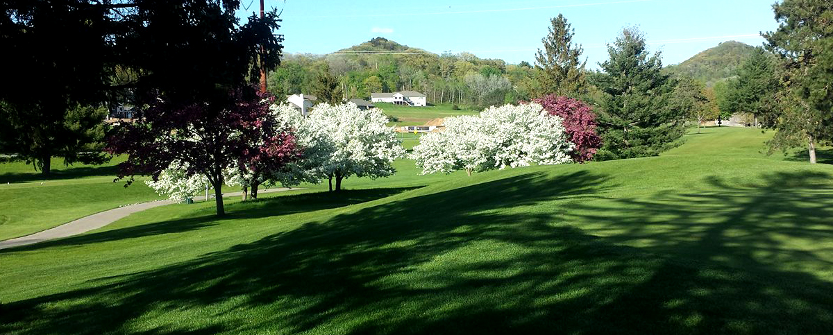 Drugan's Castle Mound image 1