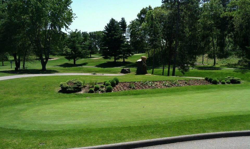 Drugan's Castle Mound image 2