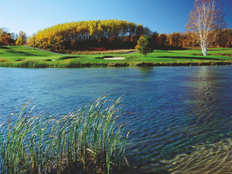 The Orchards at Egg Harbor image 2