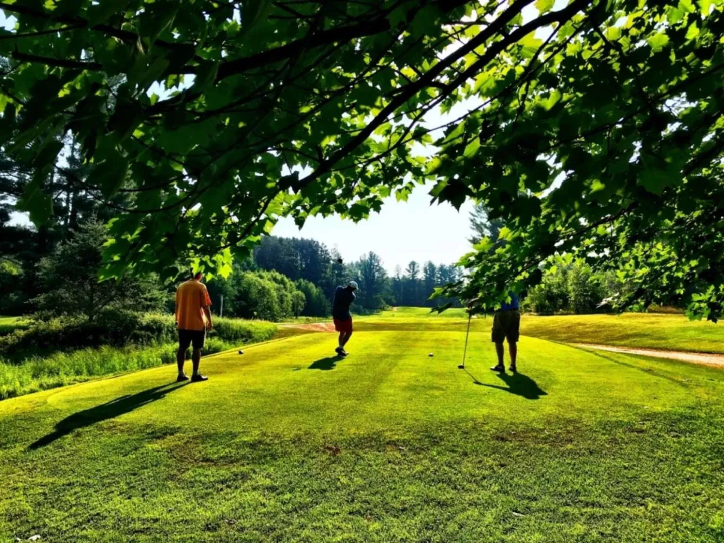 Bass Lake Golf Course image 2