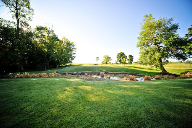 Whispering Springs Golf Club image 4