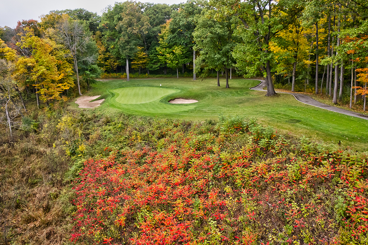 The Bull at Pinehurst Farms image 2
