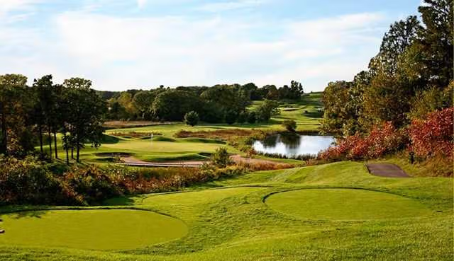 Trappers Turn Golf Club image 1