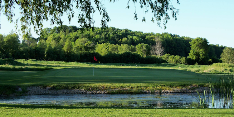 Cedar Springs Golf Course image 1