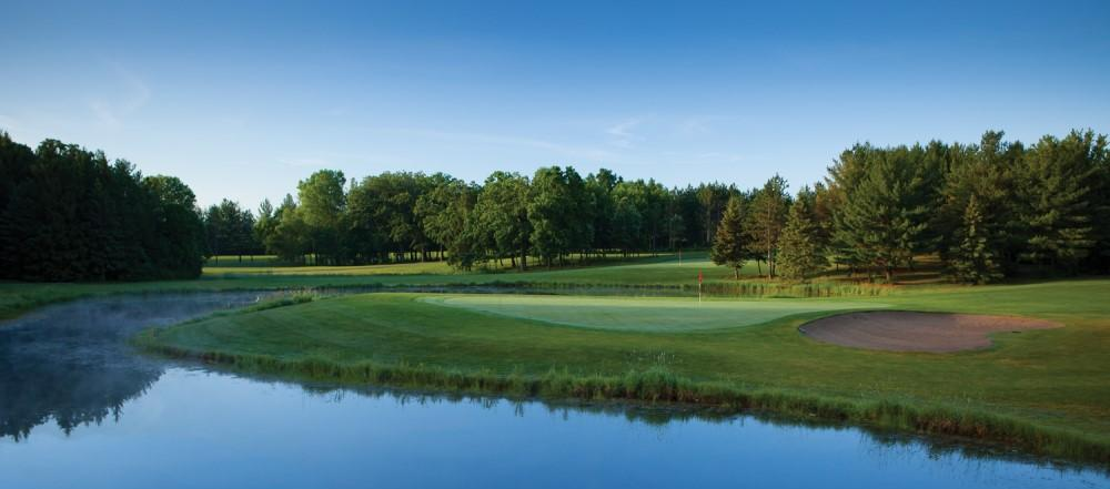 Brighton Dale Links image 1