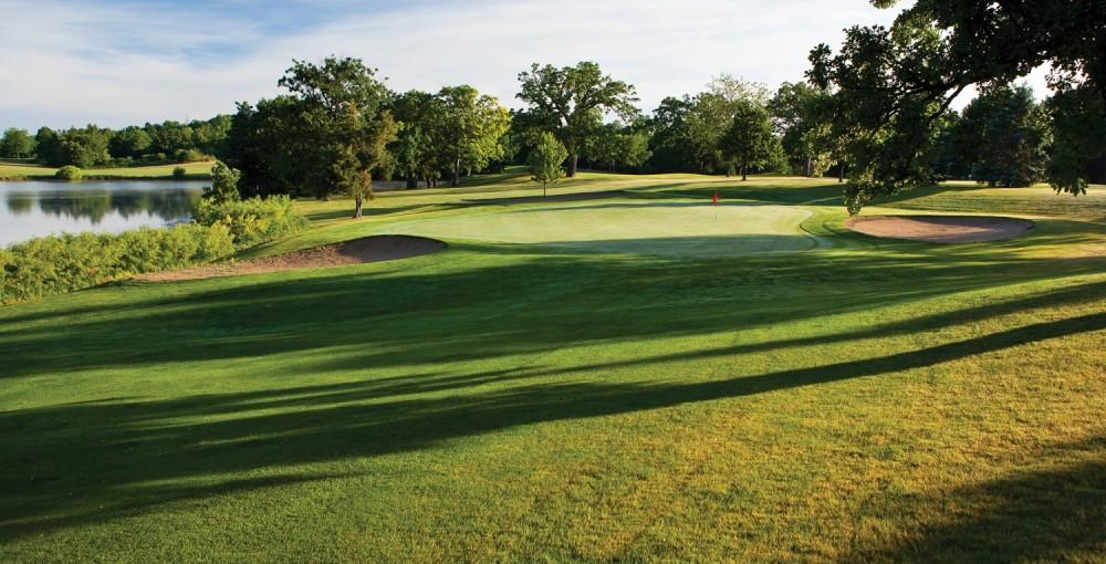 Brighton Dale Links image 3