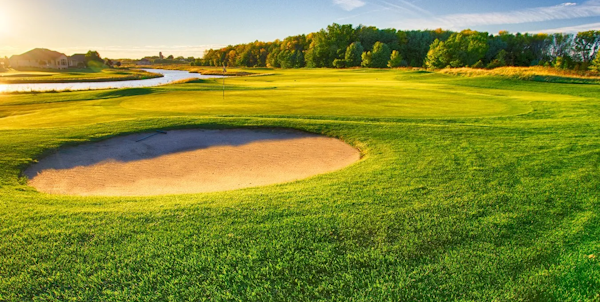 Royal St. Patrick's Golf Links image 1