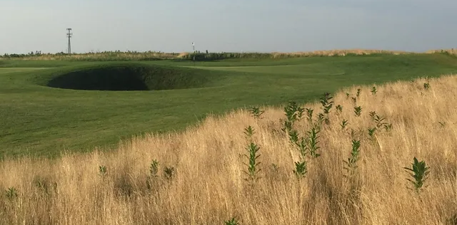 Royal St. Patrick's Golf Links image 4