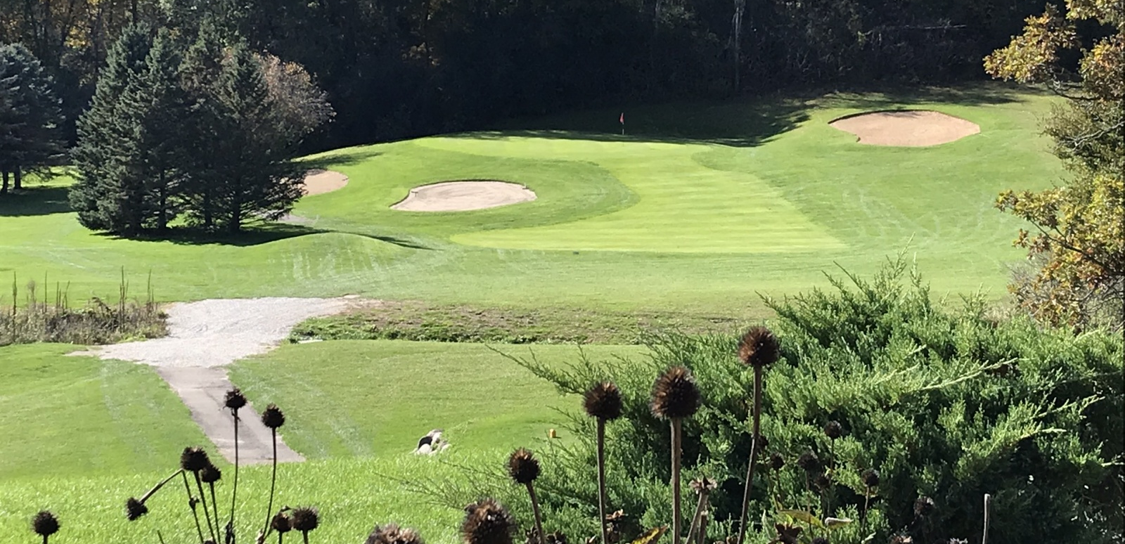 Alpine Valley Resort image 2