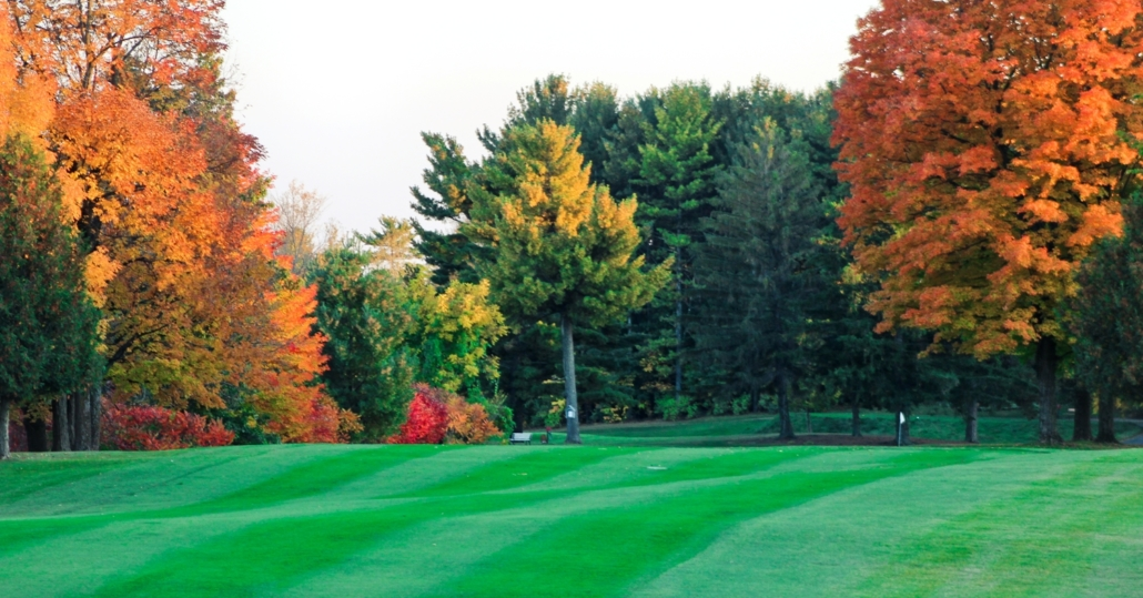 Shamrock Heights Golf Course image 3
