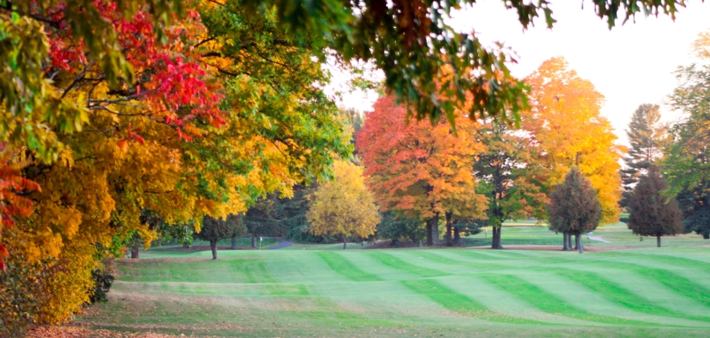 Shamrock Heights Golf Course image 4