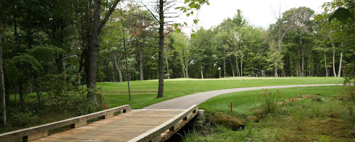 Spring Brook Golf Course image 3