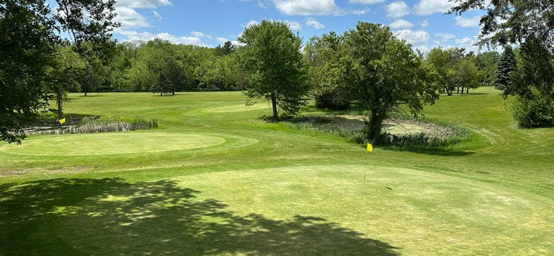 Lake Beulah Golf Course image 1