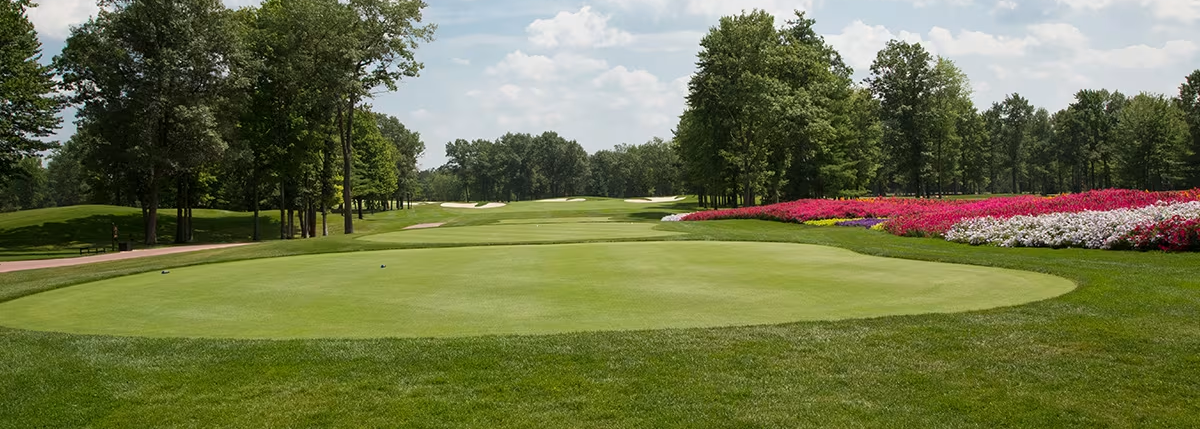 Sentry World image 1