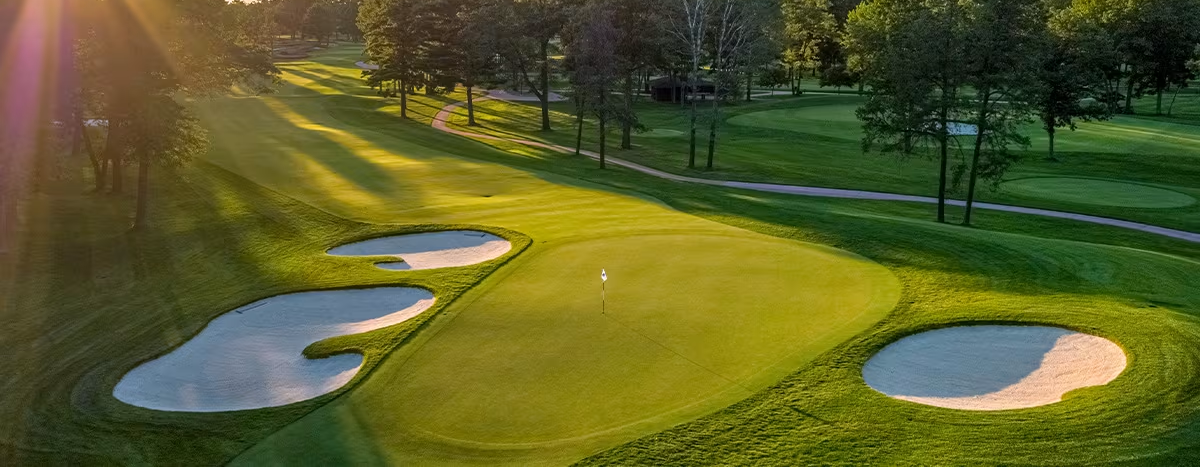 Sentry World image 2