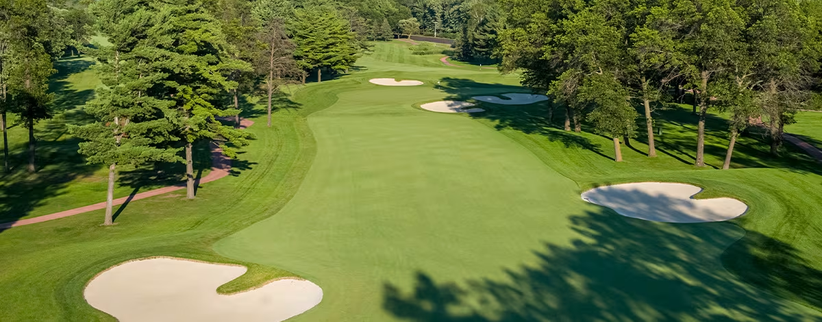 Sentry World image 3