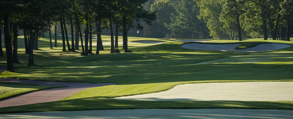 Sentry World image 4