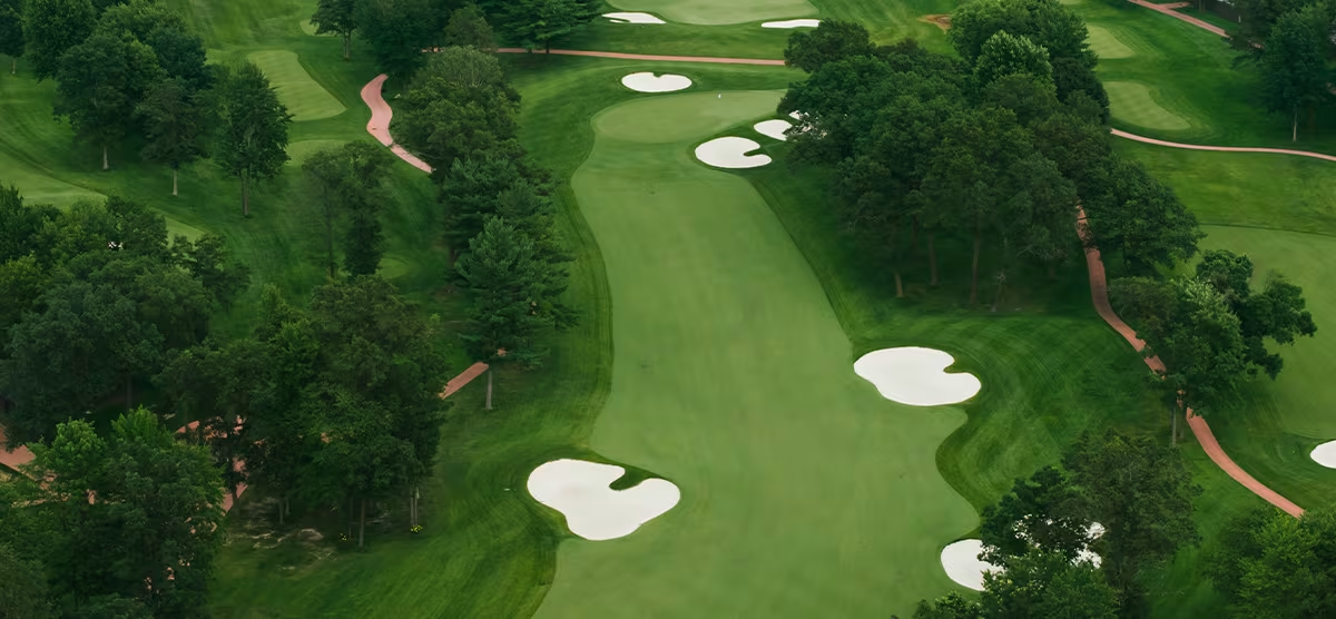 Sentry World image 5