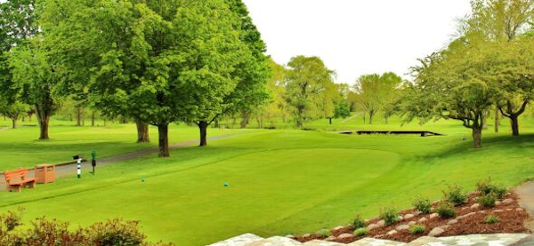 Ives Grove Golf Links image 4