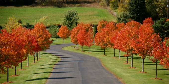 Kilkarney Hills Golf Course image 4