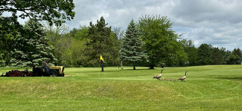 Lake Beulah Golf Course image 5