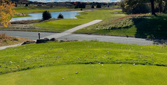 Troy Burne Golf Club image 2