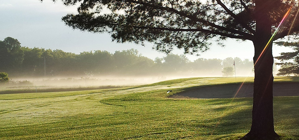 Edelweiss Chalet Country Club image 1