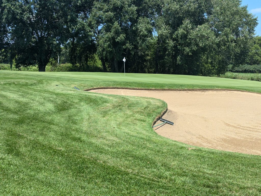 Edelweiss Chalet Country Club image 5