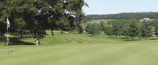 Edelweiss Chalet Country Club image 4