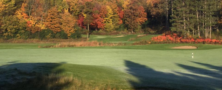 Mill Run Golf Course image 1
