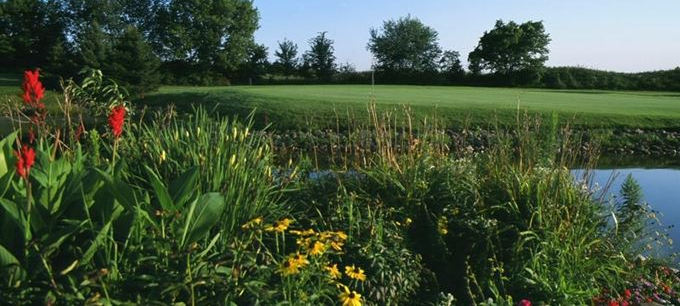 Mill Run Golf Course image 2