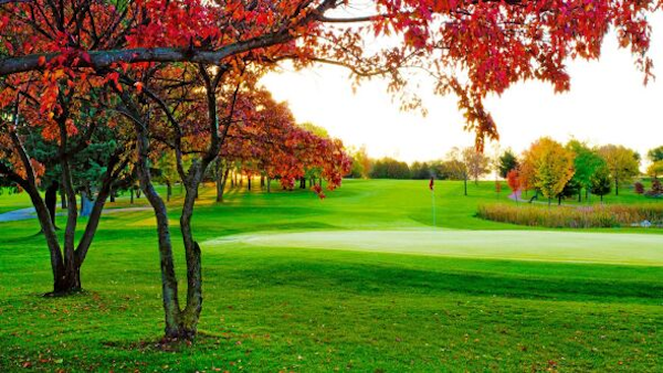 The Hollow Golf Club image 4